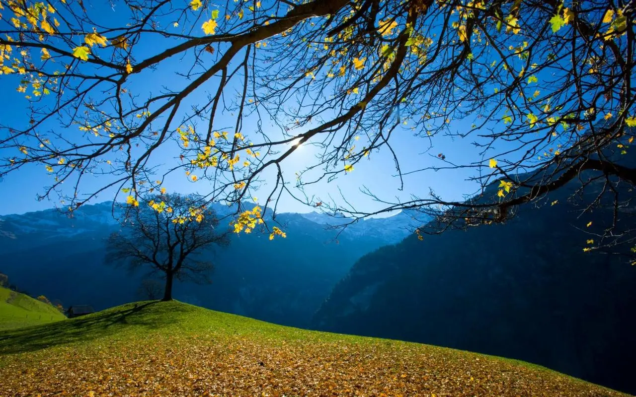 可靠性网络化